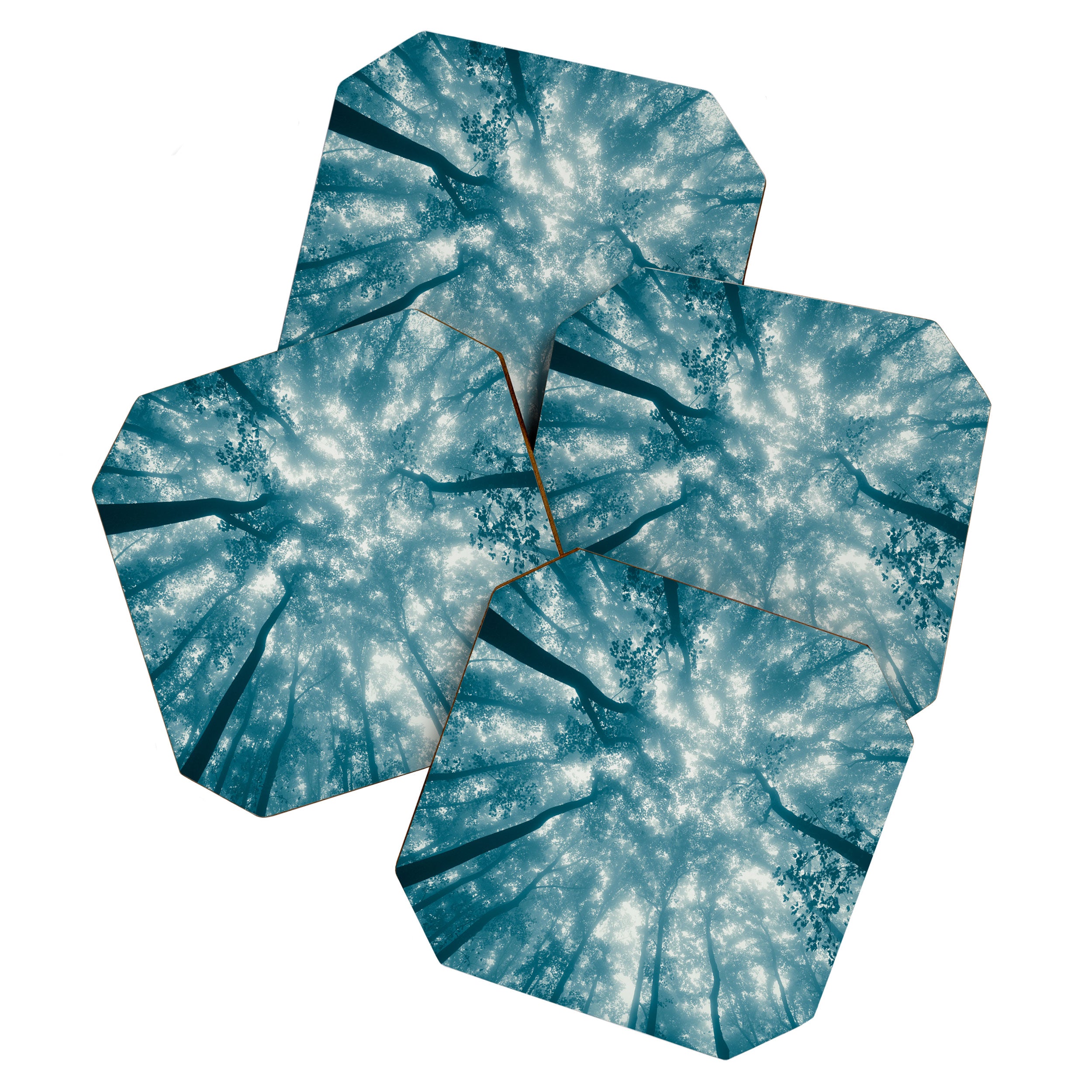 Smoky Mountain Summer Forest Teal - National Park Nature Photography Coaster Gallery Image 1