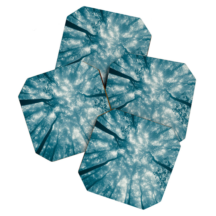 Smoky Mountain Summer Forest Teal - National Park Nature Photography Coaster Gallery Image 1