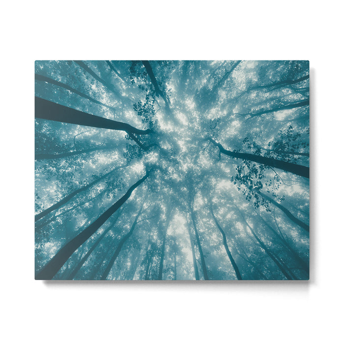 Smoky Mountain Summer Forest Teal - National Park Nature Photography Metal Print Gallery Image 1