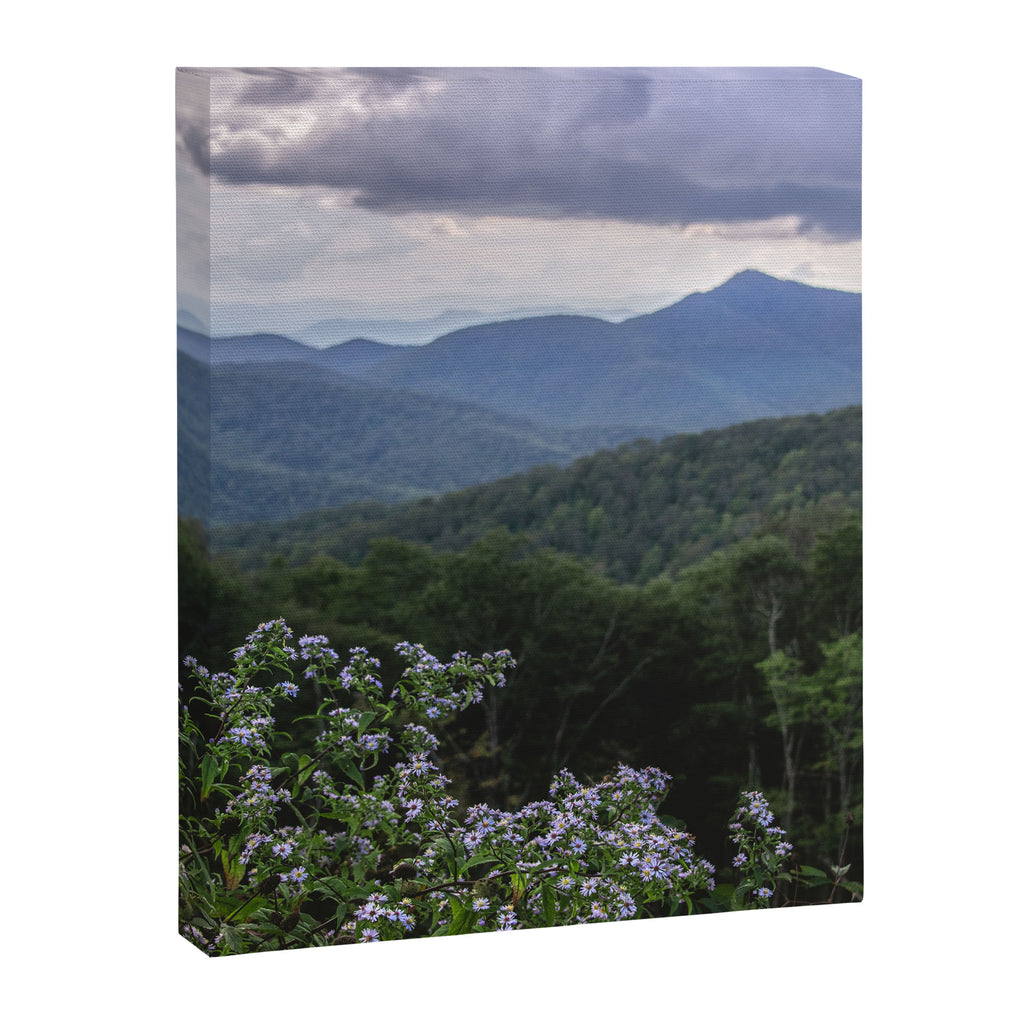 Smoky Mountain Wildflower Adventure - Nature Photography Canvas Print Gallery Image 6