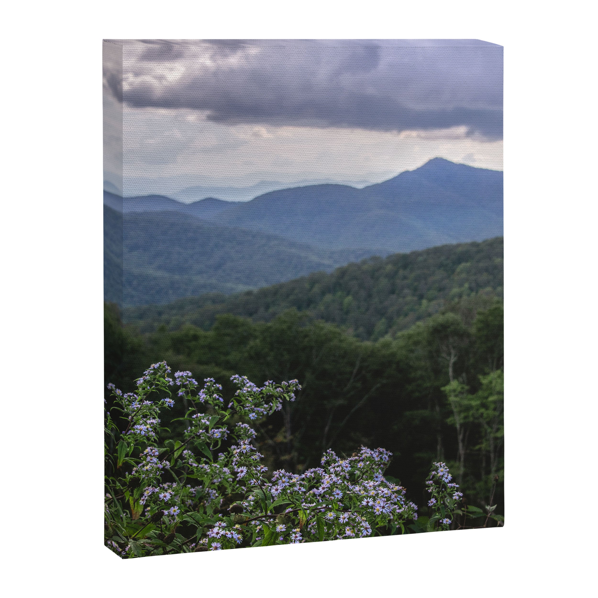 Smoky Mountain Wildflower Adventure - Nature Photography Canvas Print Gallery Image 6