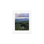 Smoky Mountain Wildflower Adventure - Nature Photography Art Print Gallery Image 1