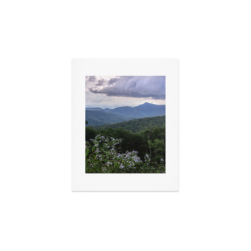Smoky Mountain Wildflower Adventure - Nature Photography Art Print Gallery Image 1