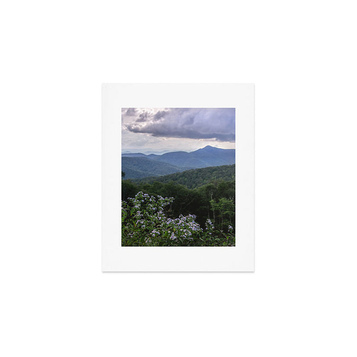 Smoky Mountain Wildflower Adventure - Nature Photography Art Print Gallery Image 1