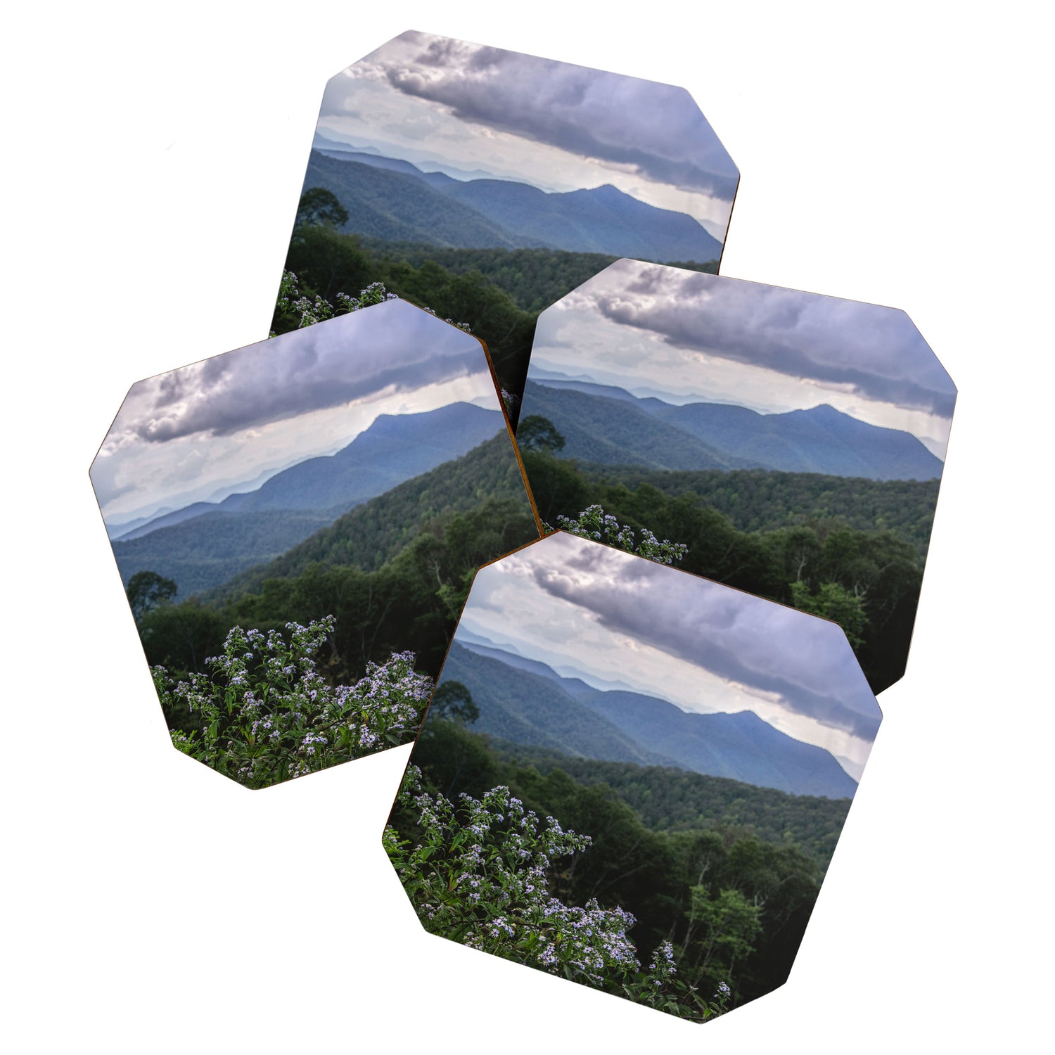 Smoky Mountain Wildflower Adventure - Nature Photography Coaster Gallery Image 1