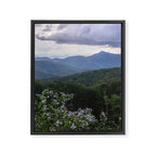 Smoky Mountain Wildflower Adventure - Nature Photography Framed Canvas Print Gallery Image 6