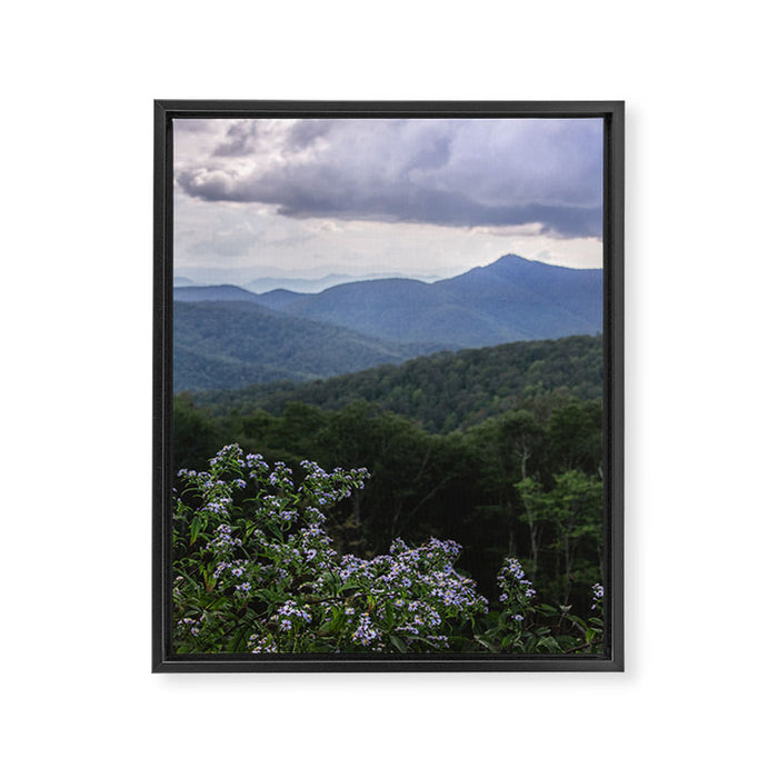 Smoky Mountain Wildflower Adventure - Nature Photography Framed Canvas Print Gallery Image 1