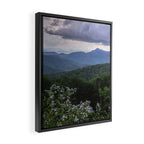 Smoky Mountain Wildflower Adventure - Nature Photography Framed Canvas Print Gallery Image 2