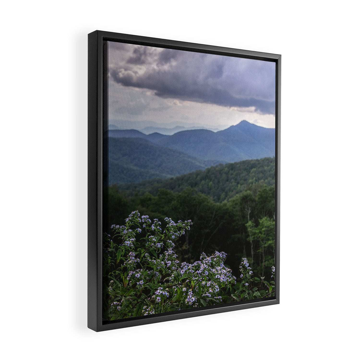 Smoky Mountain Wildflower Adventure - Nature Photography Framed Canvas Print Gallery Image 2