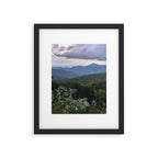 Smoky Mountain Wildflower Adventure - Nature Photography Framed Art Print Gallery Image 5
