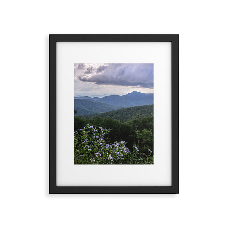 Smoky Mountain Wildflower Adventure - Nature Photography Framed Art Print Gallery Image 5