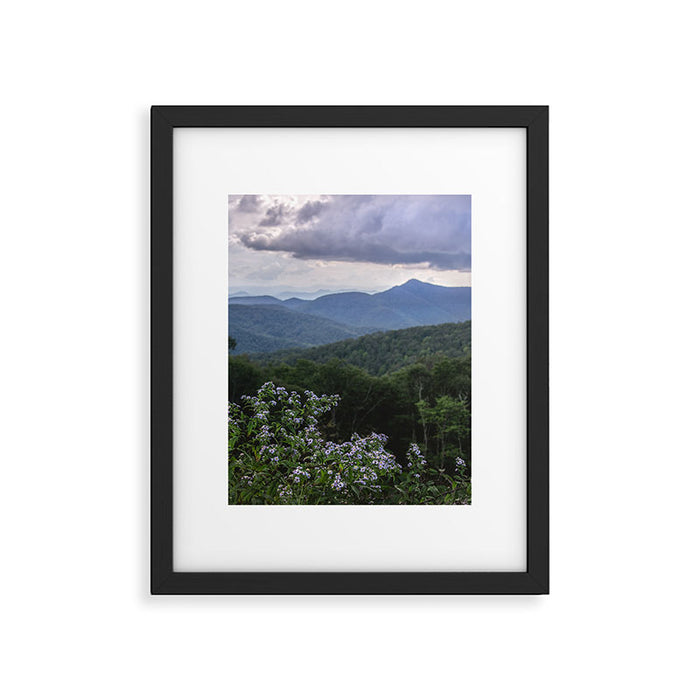 Smoky Mountain Wildflower Adventure - Nature Photography Framed Art Print Gallery Image 1