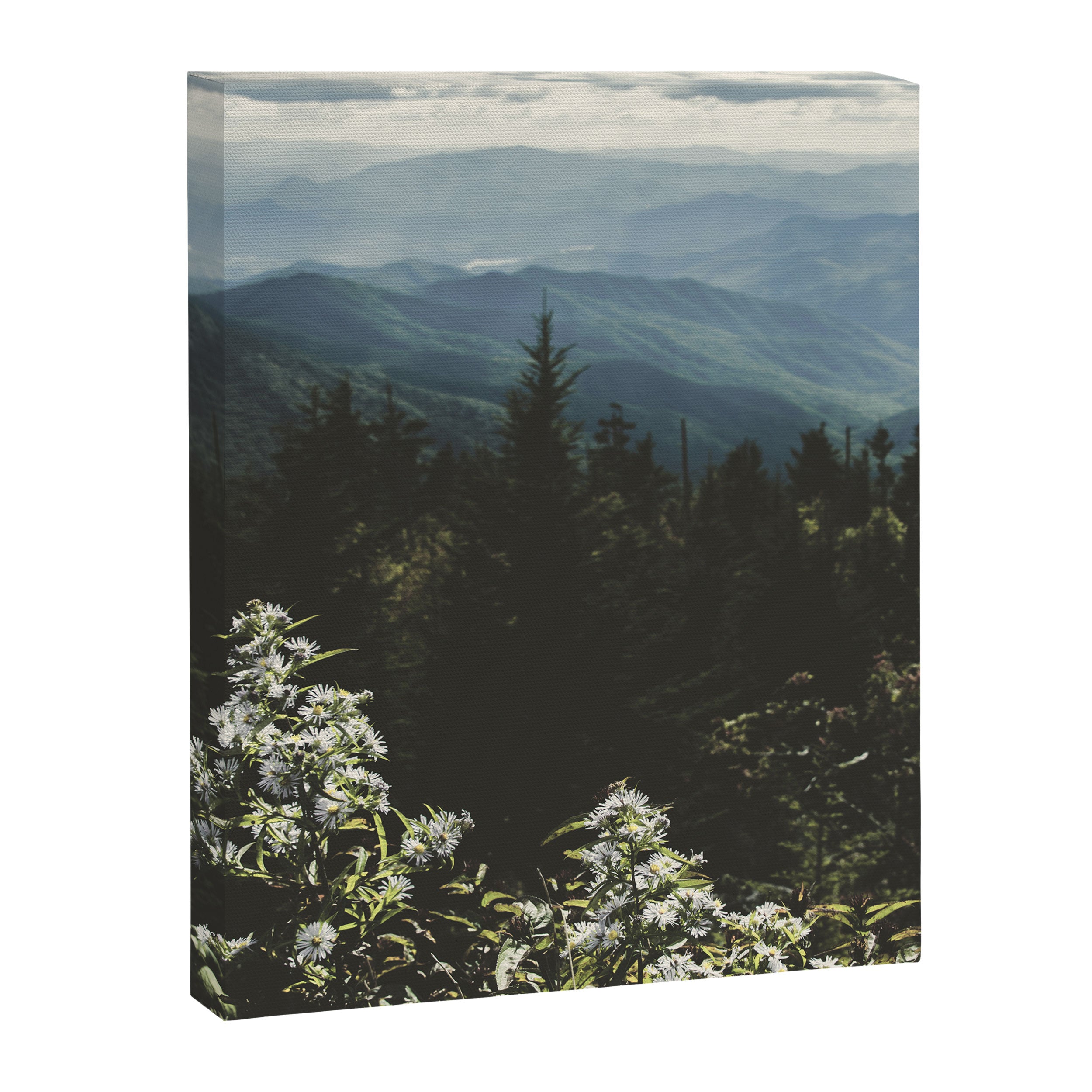 Smoky Mountains - Nature Photography Canvas Print Gallery Image 6
