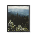 Smoky Mountains - Nature Photography Framed Canvas Print Gallery Image 6