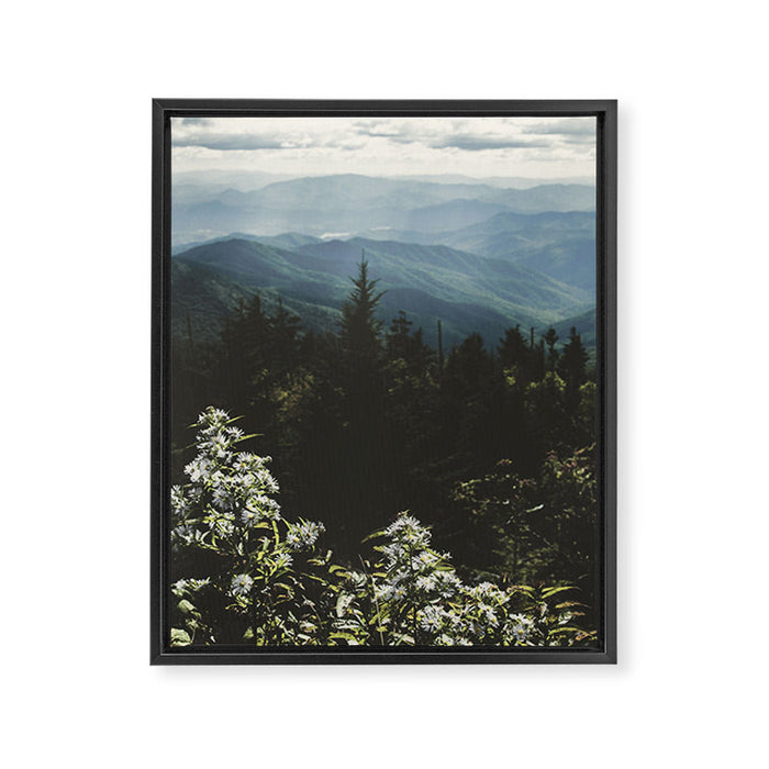 Smoky Mountains - Nature Photography Framed Canvas Print Gallery Image 1