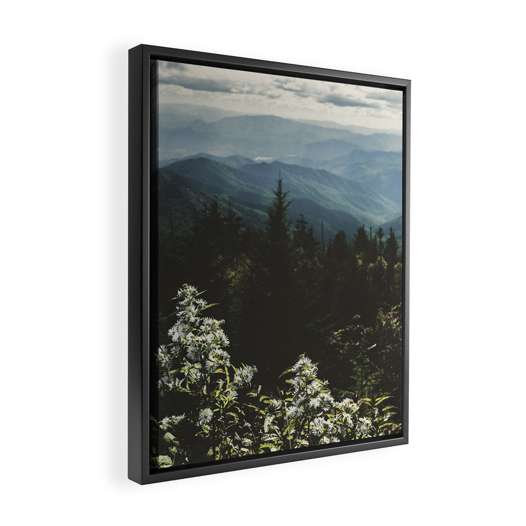 Smoky Mountains - Nature Photography Framed Canvas Print Gallery Image 2