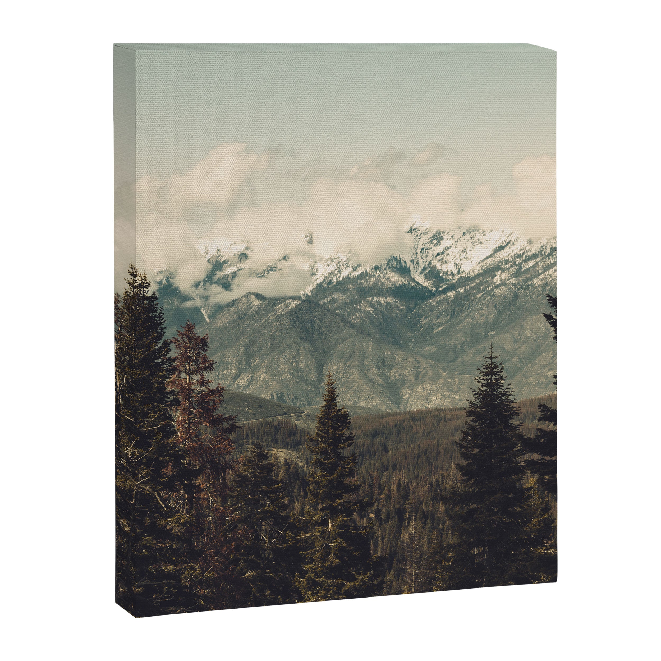 Snow capped Sierras Canvas Print Gallery Image 6