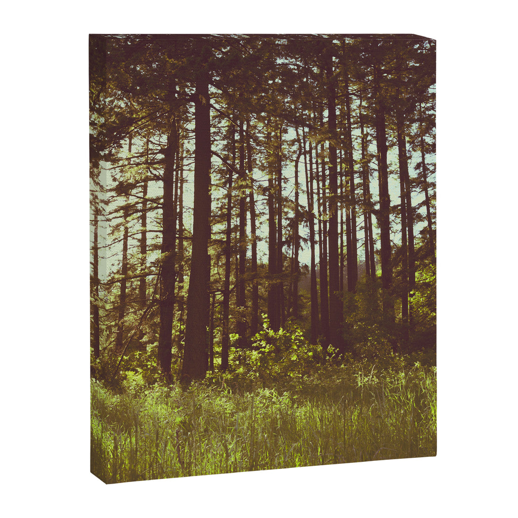Summer Forest Sunlight - Nature Photography Canvas Print Gallery Image 6