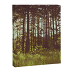 Summer Forest Sunlight - Nature Photography Canvas Print Gallery Image 6