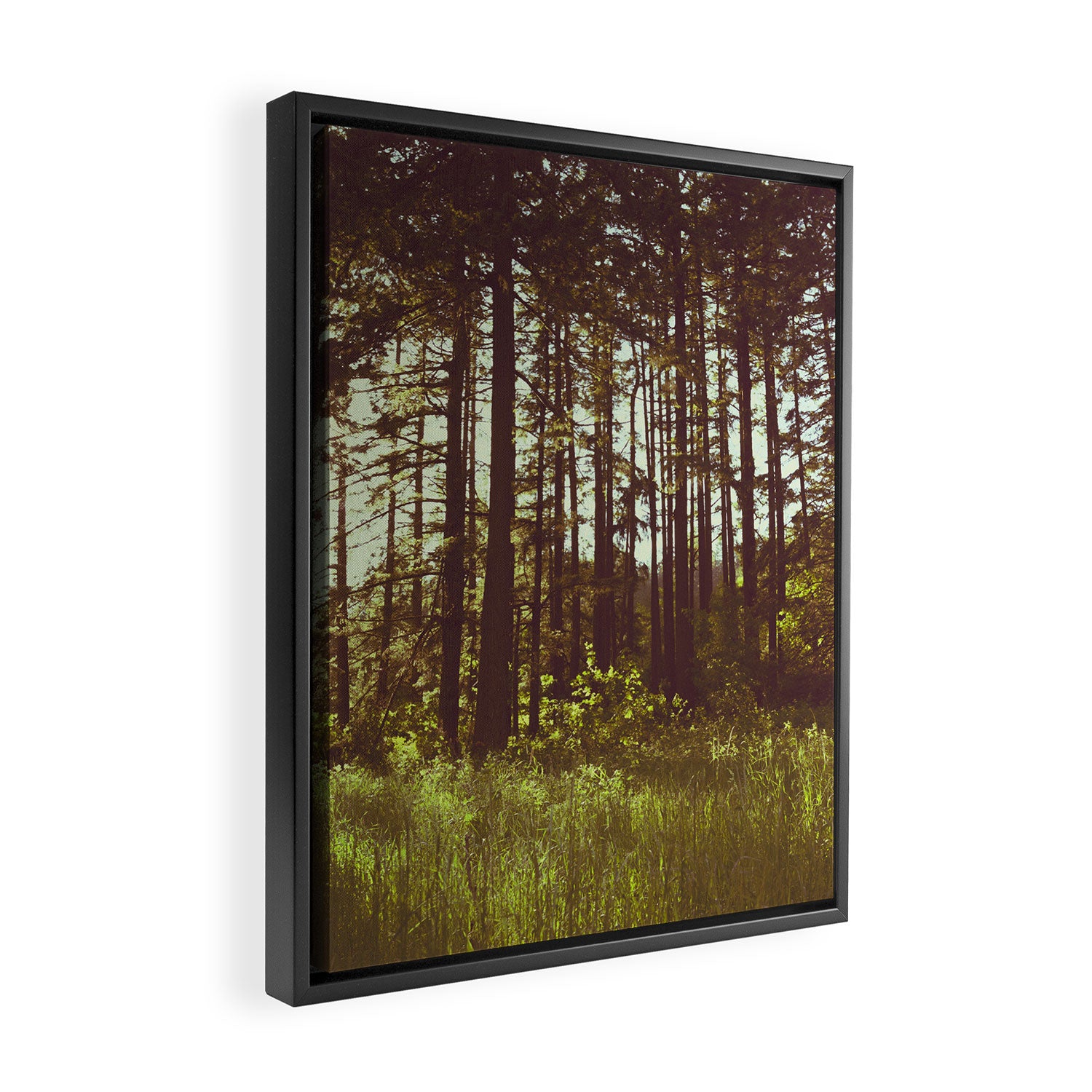 Summer Forest Sunlight - Nature Photography Framed Canvas Print Gallery Image 2