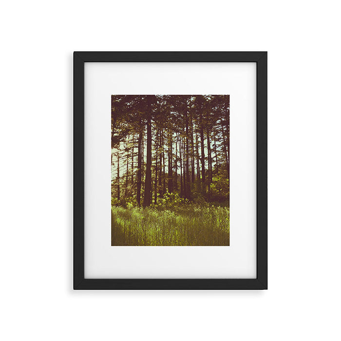 Summer Forest Sunlight - Nature Photography Framed Art Print Gallery Image 1