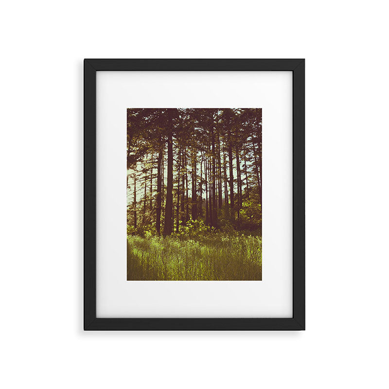 Summer Forest Sunlight - Nature Photography Framed Art Print Gallery Image 5