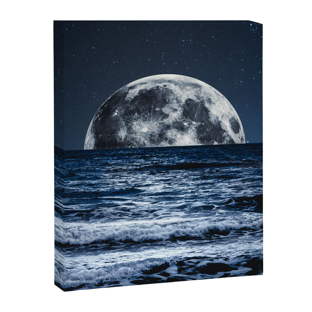 Summer Moonrise Canvas Print Gallery Image 6