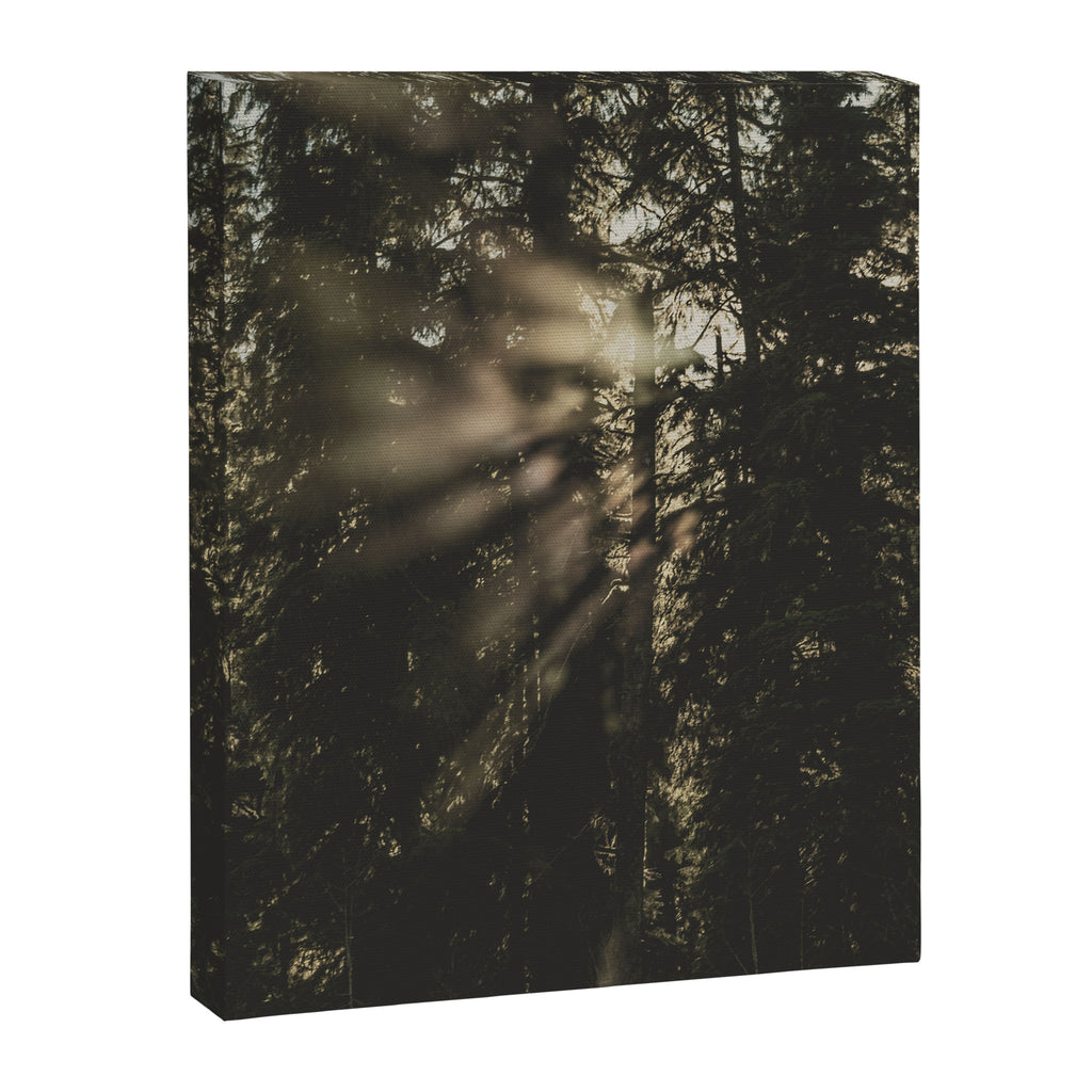 Sunset in the Woods - Nature Photography Canvas Print Gallery Image 6