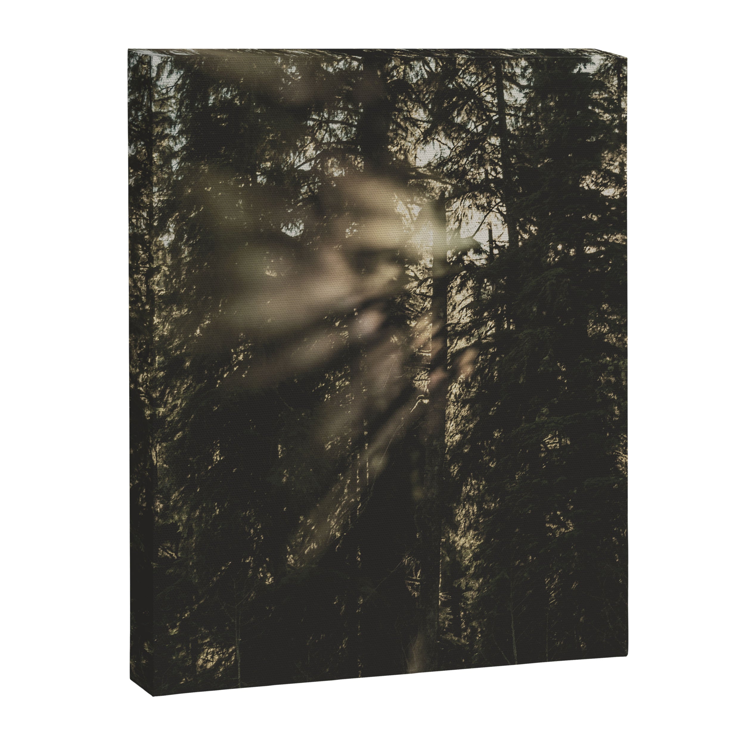 Sunset in the Woods - Nature Photography Canvas Print Gallery Image 6