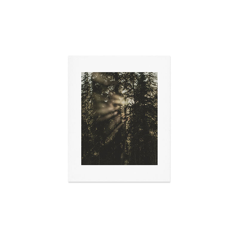 Sunset in the Woods - Nature Photography Art Print Gallery Image 1