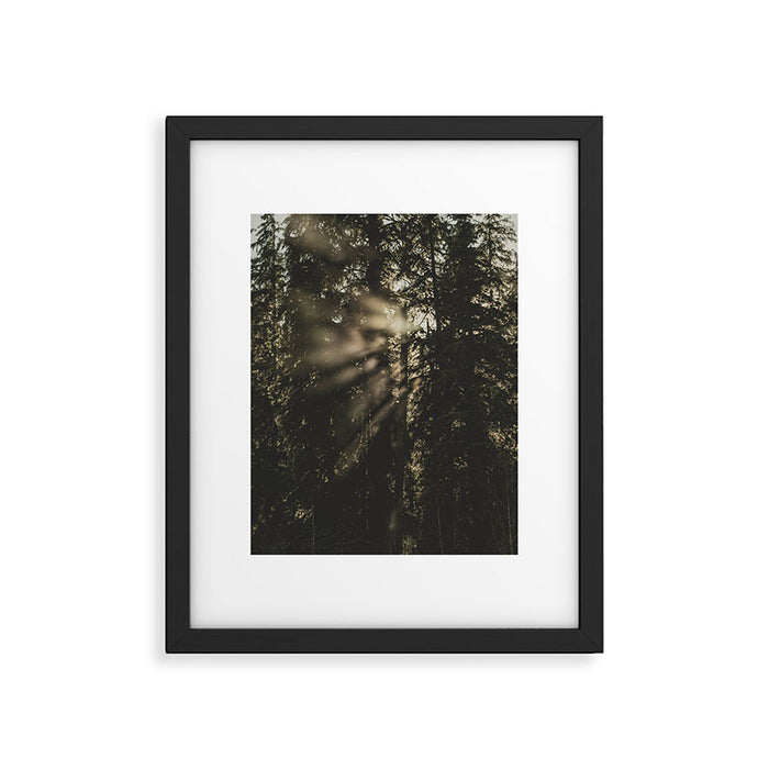 Sunset in the Woods - Nature Photography Framed Art Print Gallery Image 1
