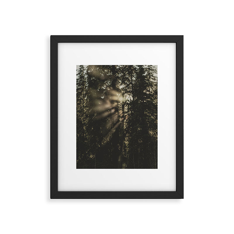 Sunset in the Woods - Nature Photography Framed Art Print Gallery Image 5