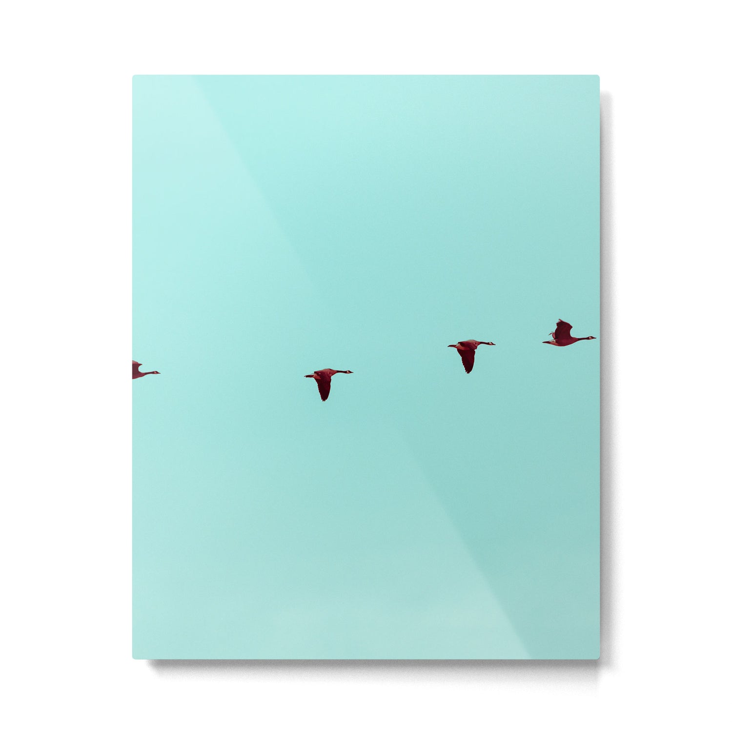 Take Flight - Wild Goose Chase Metal Print Gallery Image 6
