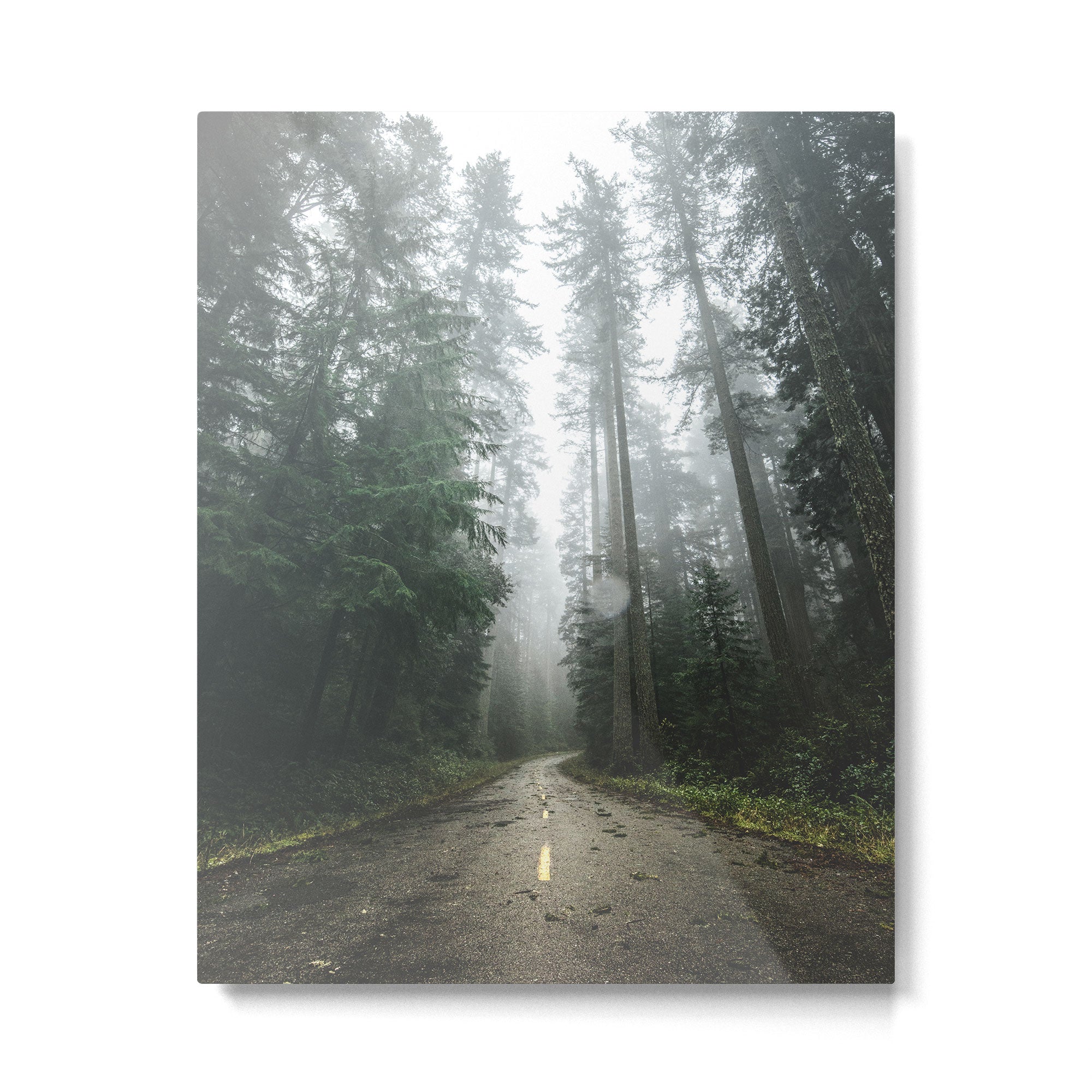 The Redwood Road Metal Print Gallery Image 4