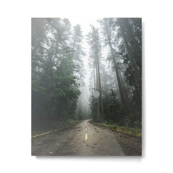 The Redwood Road Metal Print Gallery Image 1