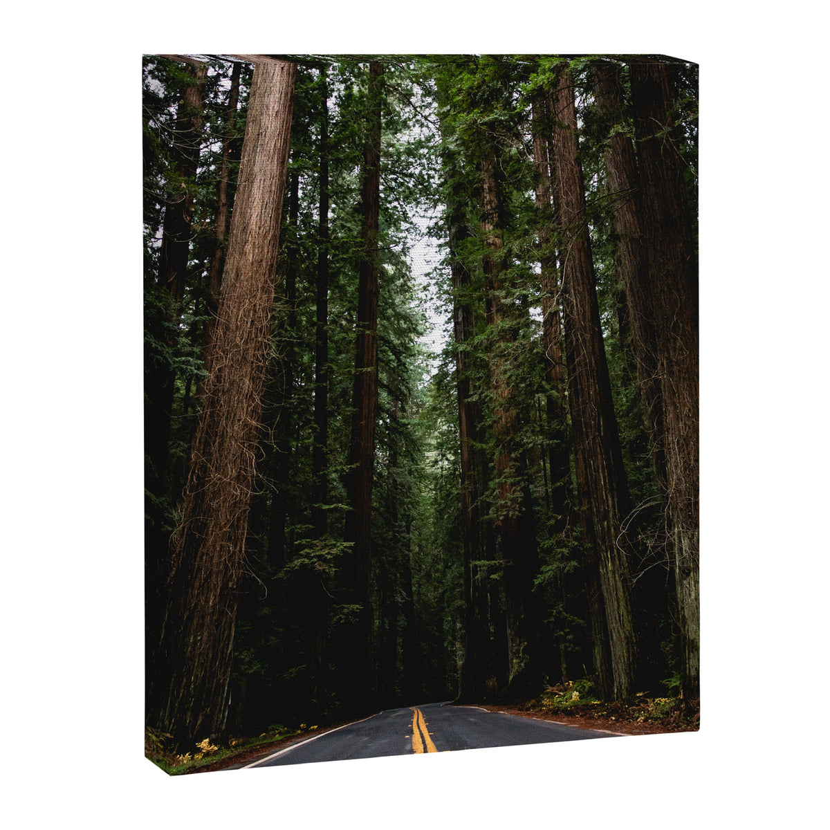 The Road to Wisdom - Nature Photography Canvas Print Gallery Image 6