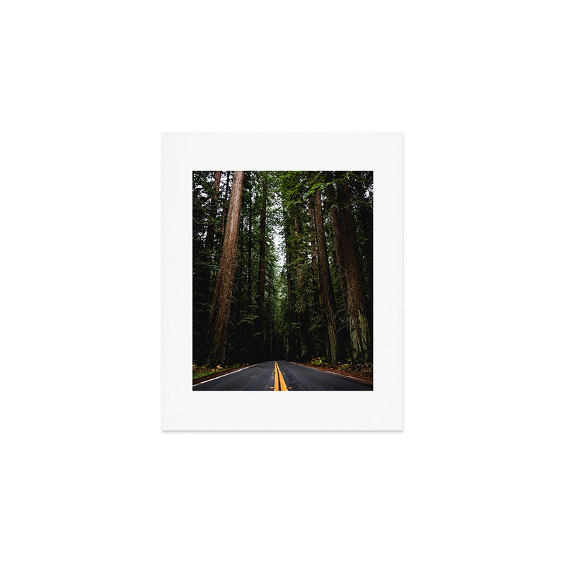 The Road to Wisdom - Nature Photography Art Print Gallery Image 1