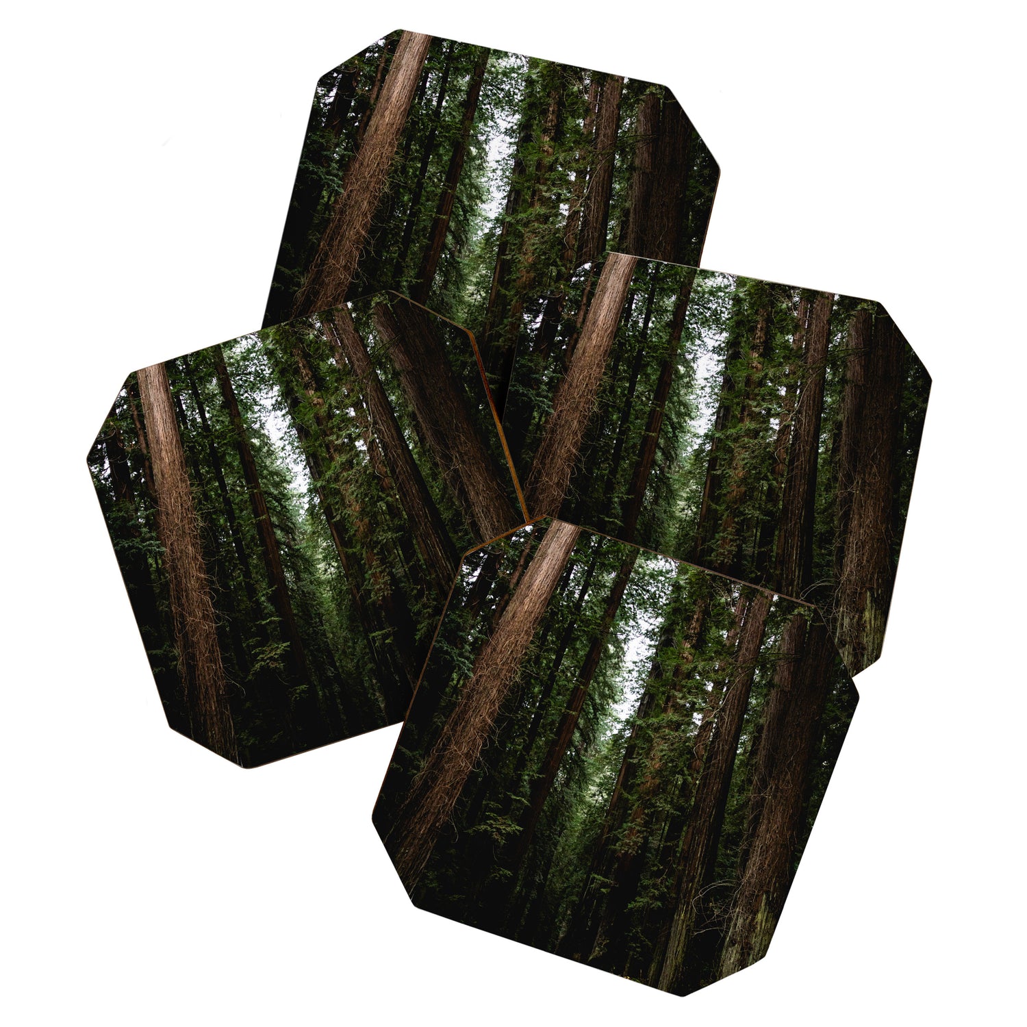 The Road to Wisdom - Nature Photography Coaster Gallery Image 1
