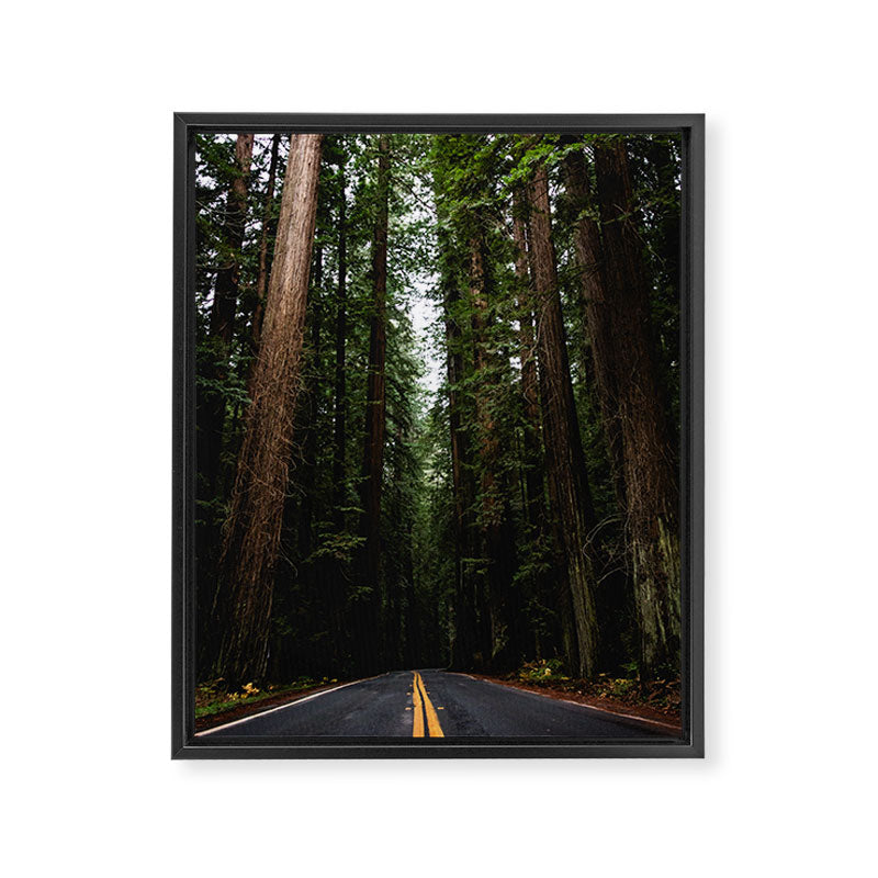 The Road to Wisdom - Nature Photography Framed Canvas Print Gallery Image 6