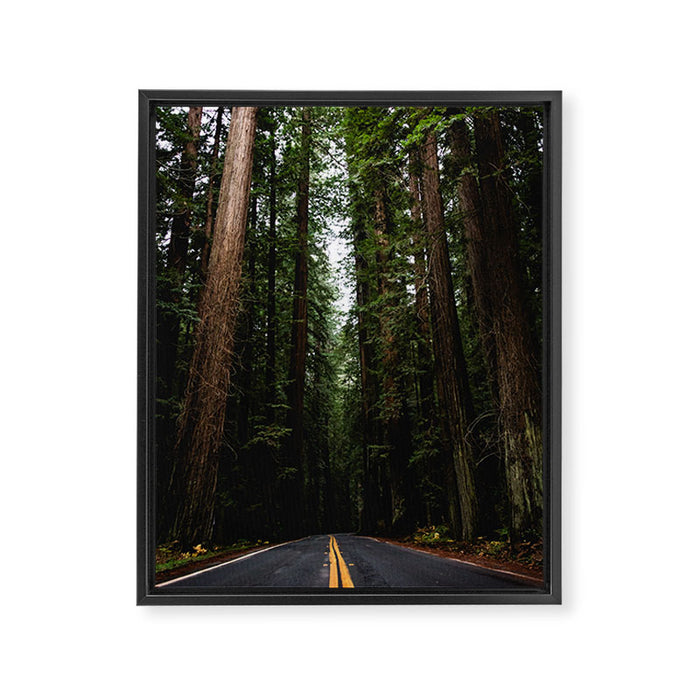 The Road to Wisdom - Nature Photography Framed Canvas Print Gallery Image 1