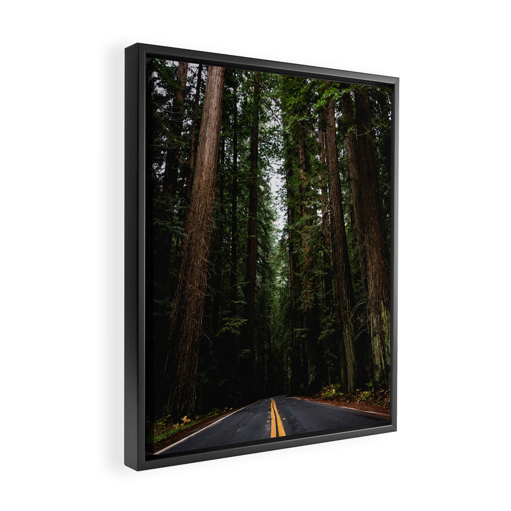The Road to Wisdom - Nature Photography Framed Canvas Print Gallery Image 2