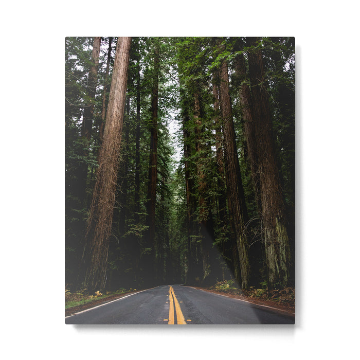 The Road to Wisdom - Nature Photography Metal Print Gallery Image 1