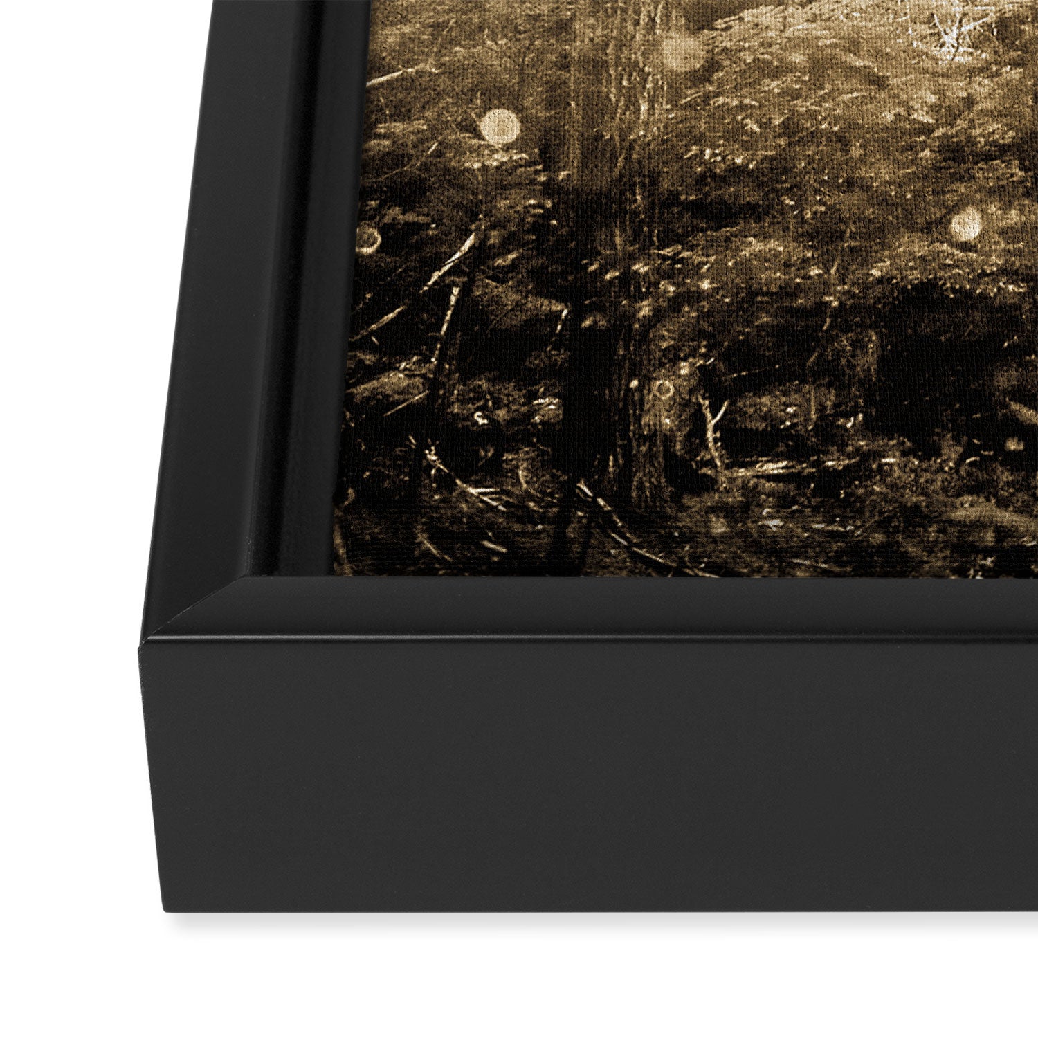 Vintage Sepia Fairy Forest Framed Canvas Print Gallery Image 3