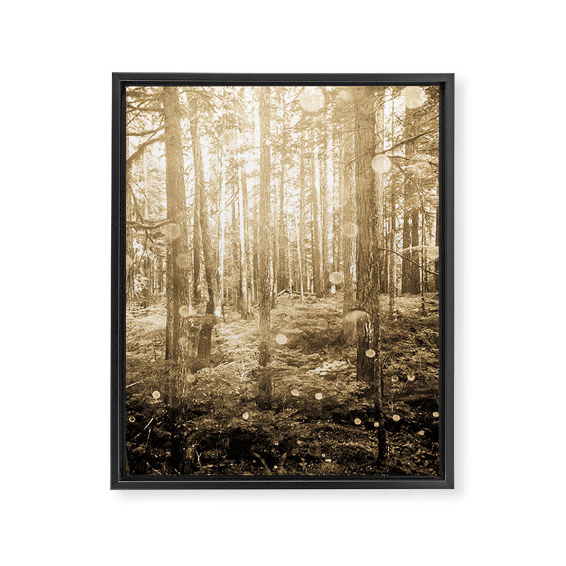 Vintage Sepia Fairy Forest Framed Canvas Print Gallery Image 6