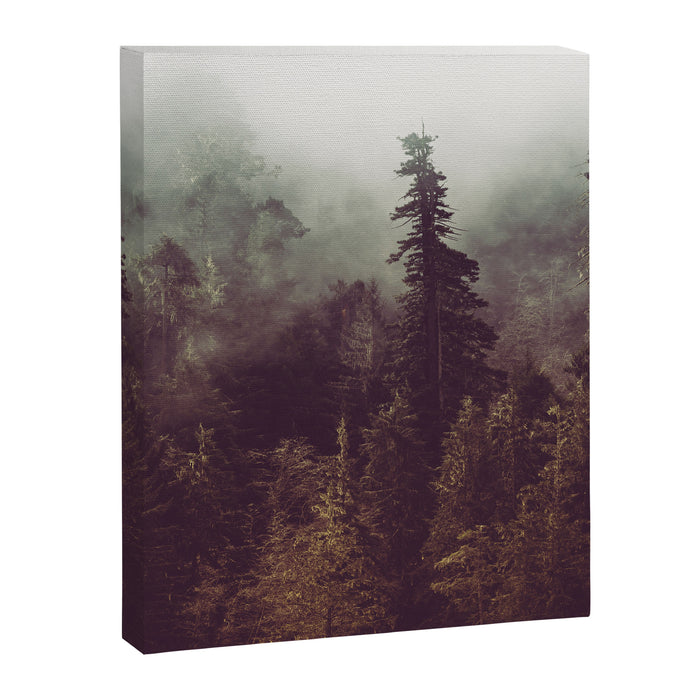 Weekend Escape - Forest Nature Photography Canvas Print Gallery Image 1