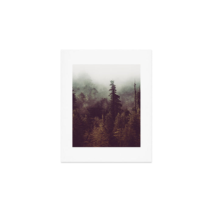 Weekend Escape - Forest Nature Photography Art Print Gallery Image 1