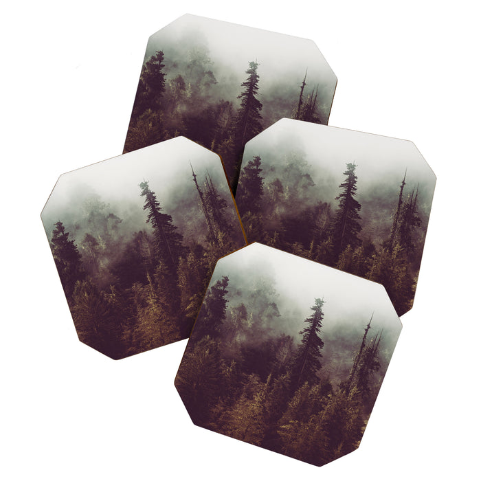 Weekend Escape - Forest Nature Photography Coaster Gallery Image 1