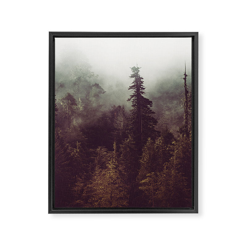 Weekend Escape - Forest Nature Photography Framed Canvas Print Gallery Image 6