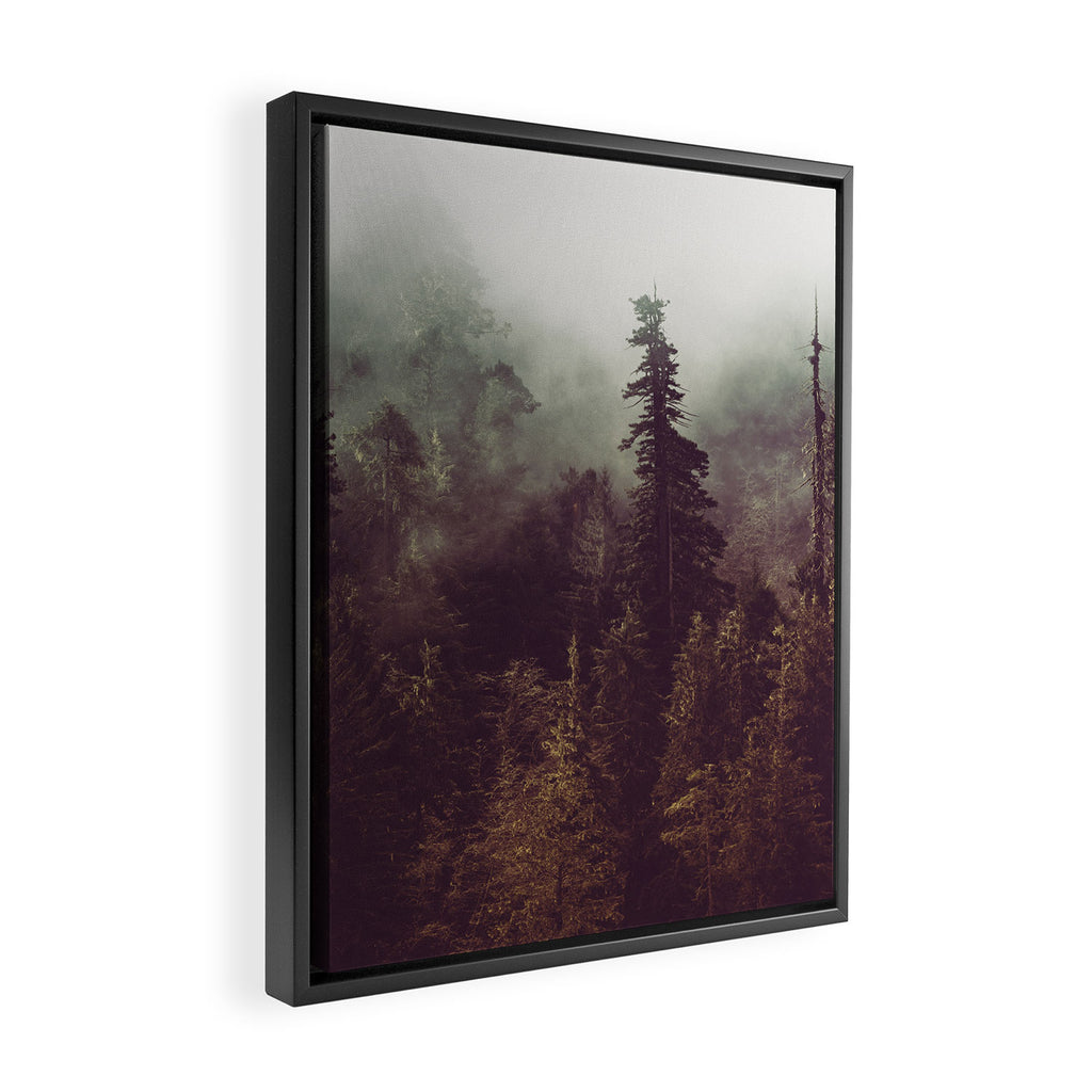 Weekend Escape - Forest Nature Photography Framed Canvas Print Gallery Image 2