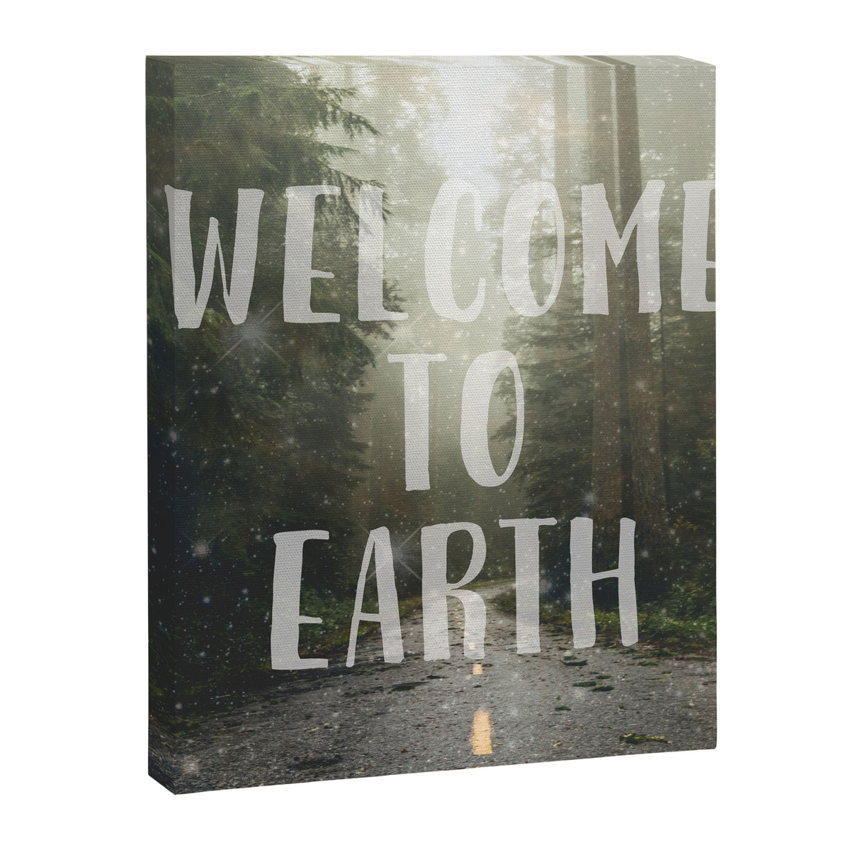 WELCOME TO EARTH Canvas Print Gallery Image 6